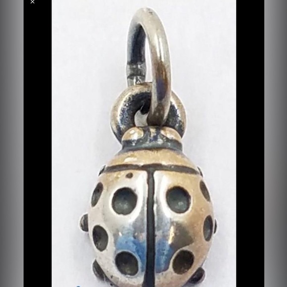 James Avery Jewelry James Avery Ladybug Charm Poshmark